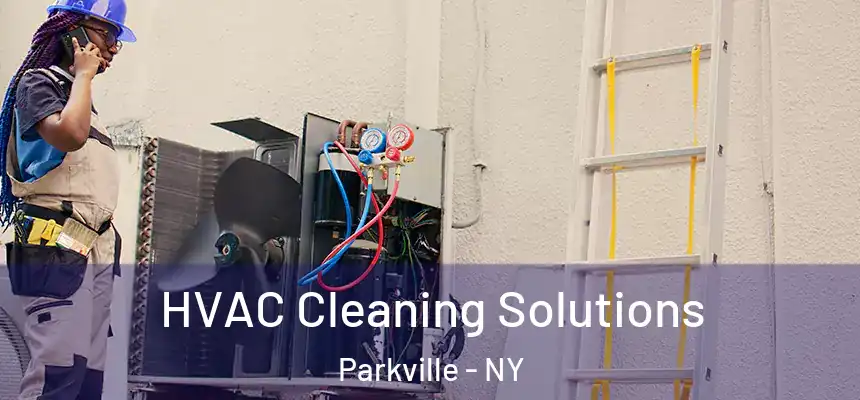  HVAC Cleaning Solutions Parkville - NY