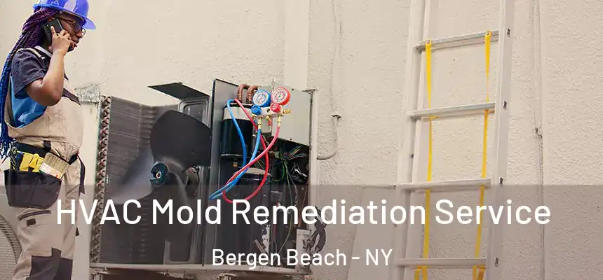  HVAC Mold Remediation Service Bergen Beach - NY