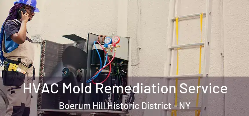 HVAC Mold Remediation Service Boerum Hill Historic District - NY