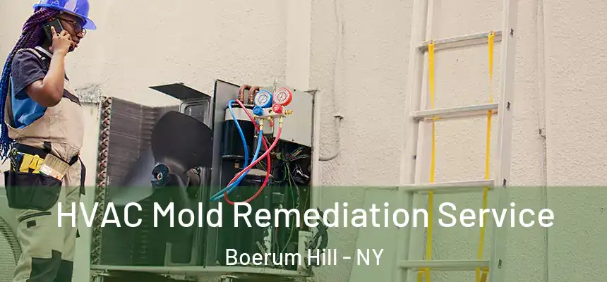  HVAC Mold Remediation Service Boerum Hill - NY