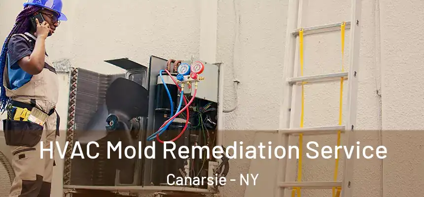  HVAC Mold Remediation Service Canarsie - NY