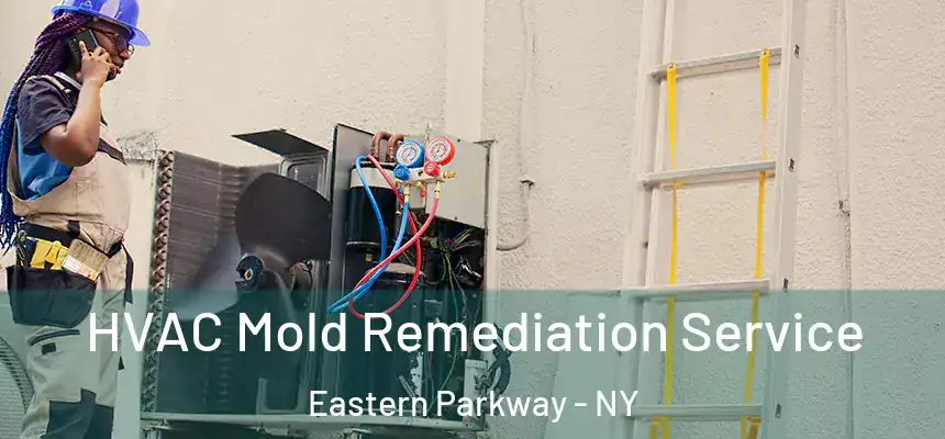 HVAC Mold Remediation Service Eastern Parkway - NY