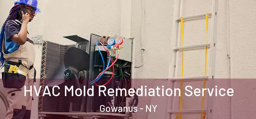  HVAC Mold Remediation Service Gowanus - NY