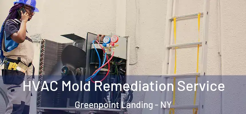 HVAC Mold Remediation Service Greenpoint Landing - NY