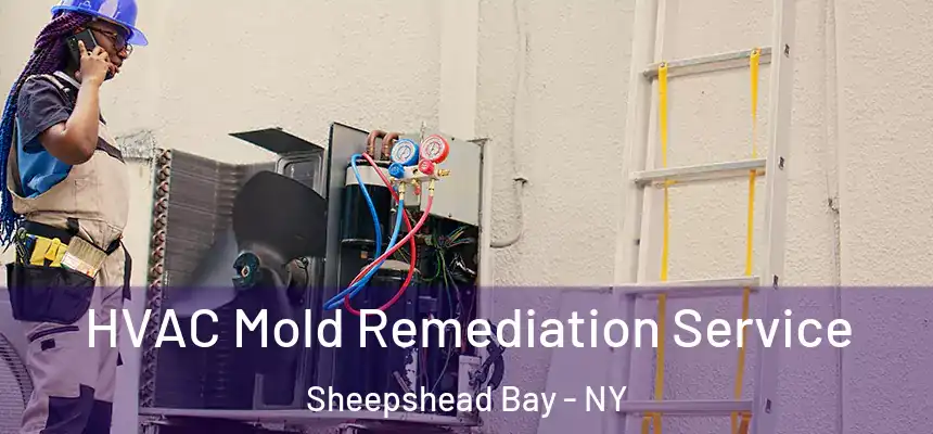  HVAC Mold Remediation Service Sheepshead Bay - NY