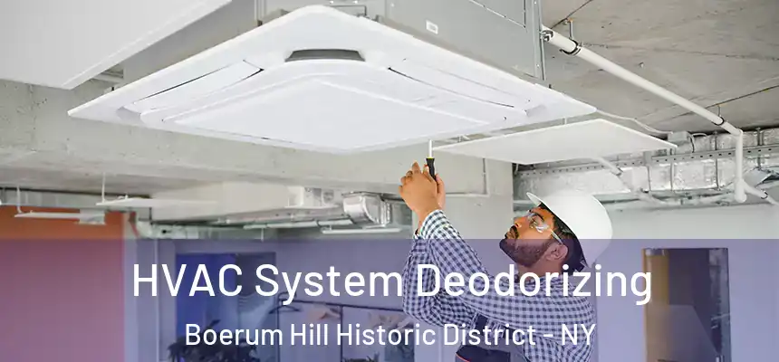 HVAC System Deodorizing Boerum Hill Historic District - NY