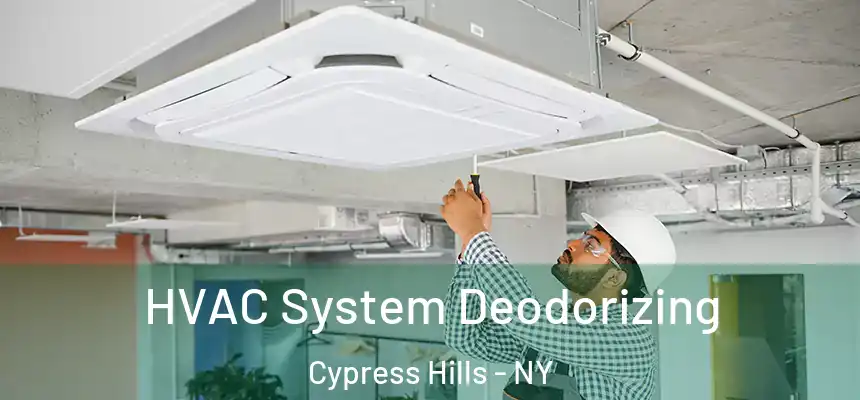  HVAC System Deodorizing Cypress Hills - NY