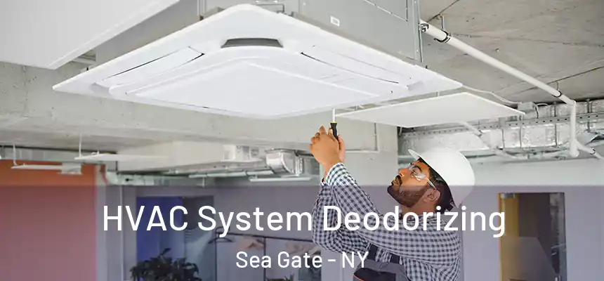 HVAC System Deodorizing Sea Gate - NY