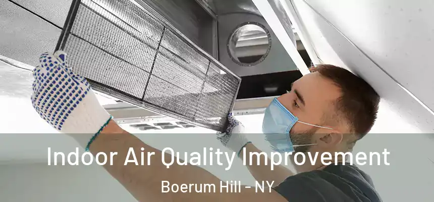  Indoor Air Quality Improvement Boerum Hill - NY