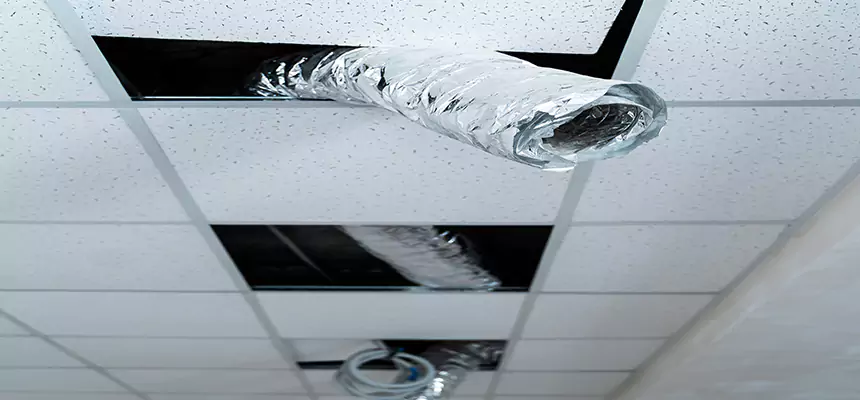 Our Air Duct Pet Hair Removal Services in Brooklyn, NY