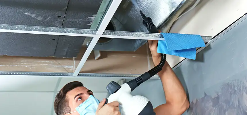 Our Air Duct Rodent Removal Services in Brooklyn, NY