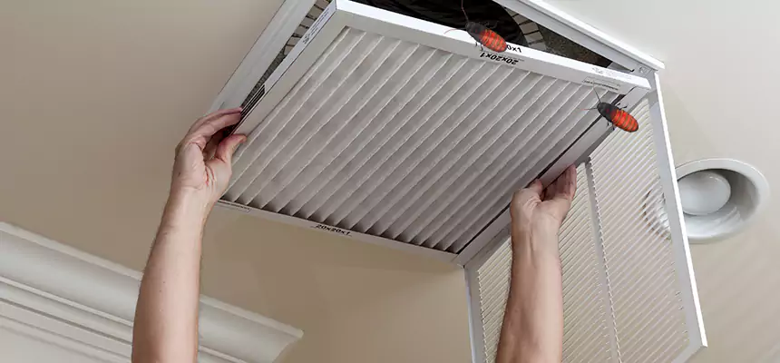 Our Insect Removal from Air Ducts Services in Brooklyn, NY