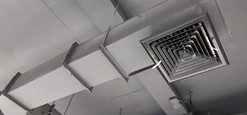 Our Pest Removal From Ducts Services in Brooklyn, NY