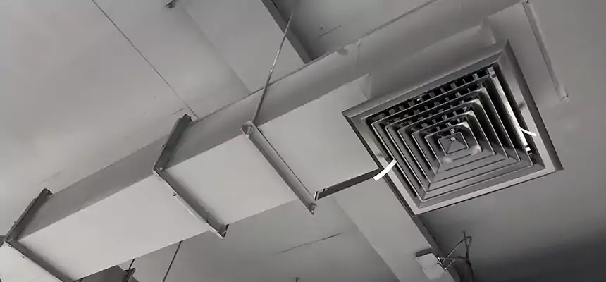 Our Rodent Droppings In Vents Services in Brooklyn, NY