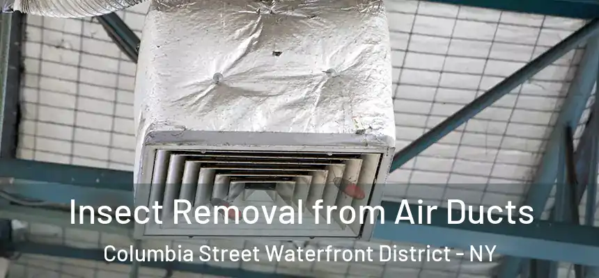 Insect Removal from Air Ducts Columbia Street Waterfront District - NY