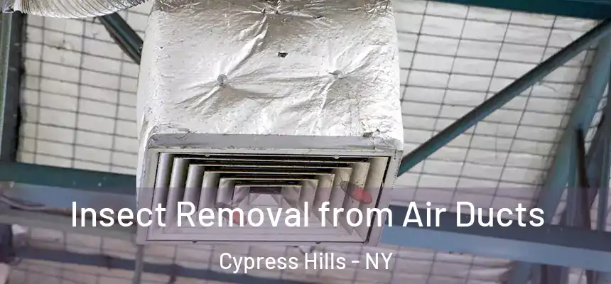  Insect Removal from Air Ducts Cypress Hills - NY