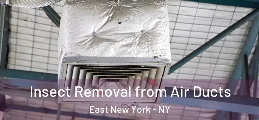  Insect Removal from Air Ducts East New York - NY