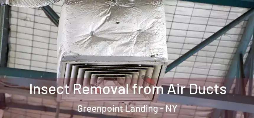  Insect Removal from Air Ducts Greenpoint Landing - NY