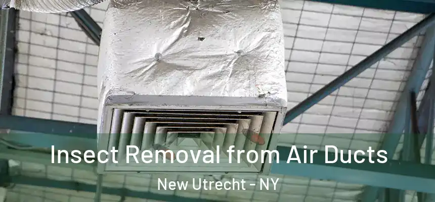  Insect Removal from Air Ducts New Utrecht - NY