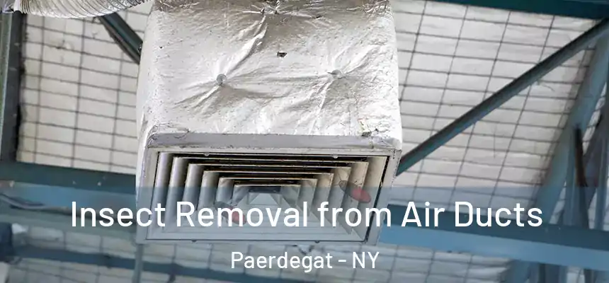  Insect Removal from Air Ducts Paerdegat - NY