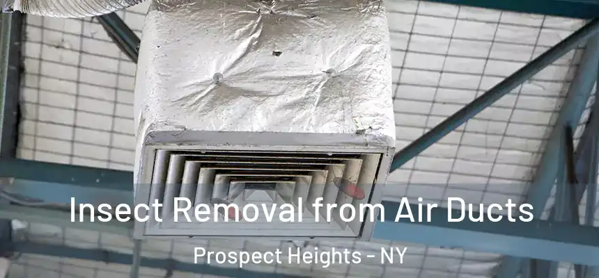 Insect Removal from Air Ducts Prospect Heights - NY
