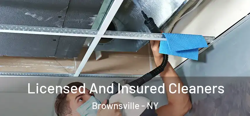 Licensed And Insured Cleaners Brownsville - NY