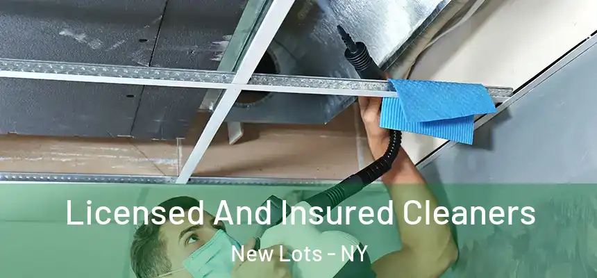  Licensed And Insured Cleaners New Lots - NY