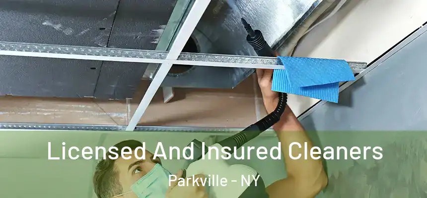  Licensed And Insured Cleaners Parkville - NY