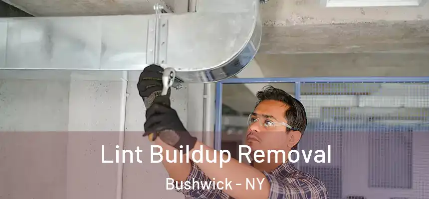  Lint Buildup Removal Bushwick - NY