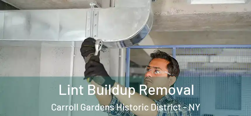 Lint Buildup Removal Carroll Gardens Historic District - NY