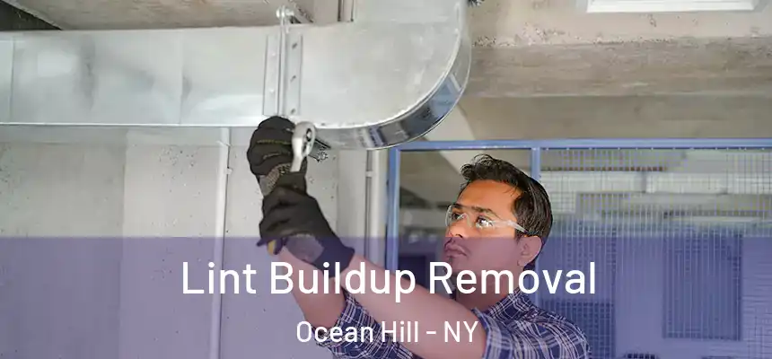 Lint Buildup Removal Ocean Hill - NY