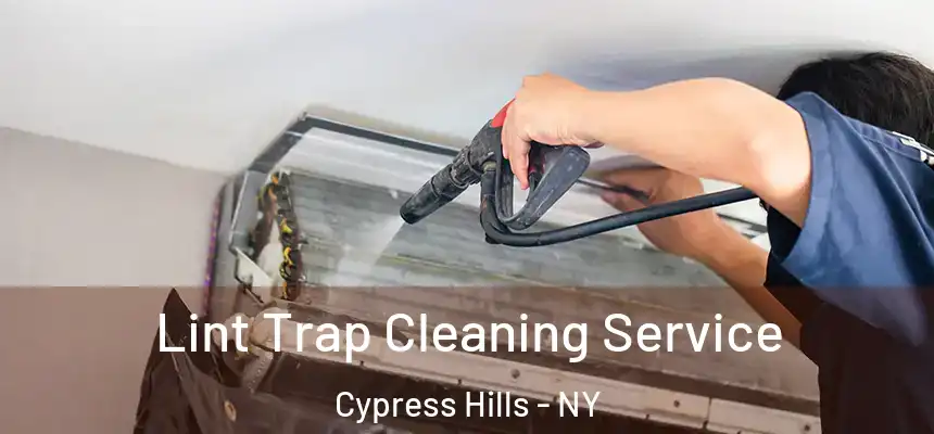 Lint Trap Cleaning Service Cypress Hills - NY