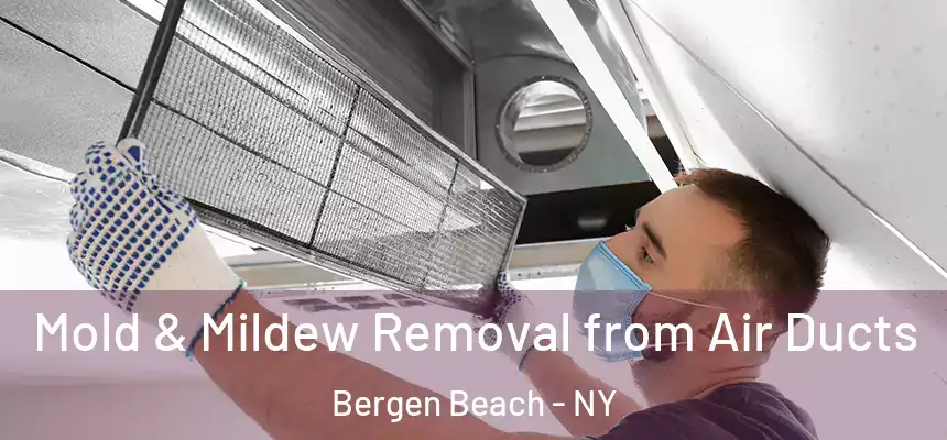 Mold & Mildew Removal from Air Ducts Bergen Beach - NY