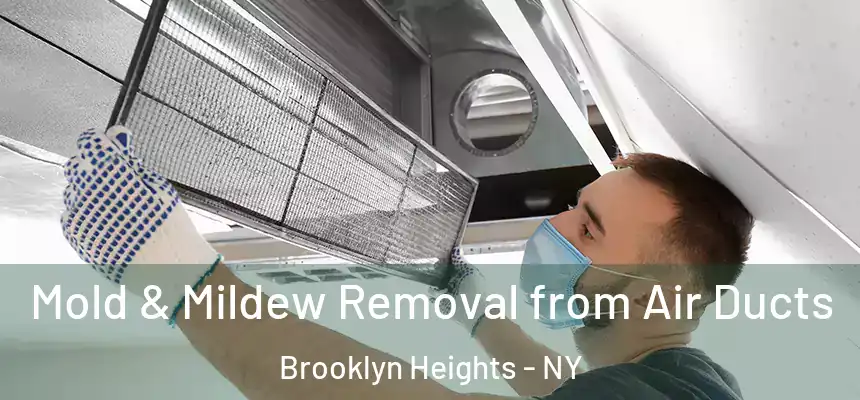 Mold & Mildew Removal from Air Ducts Brooklyn Heights - NY