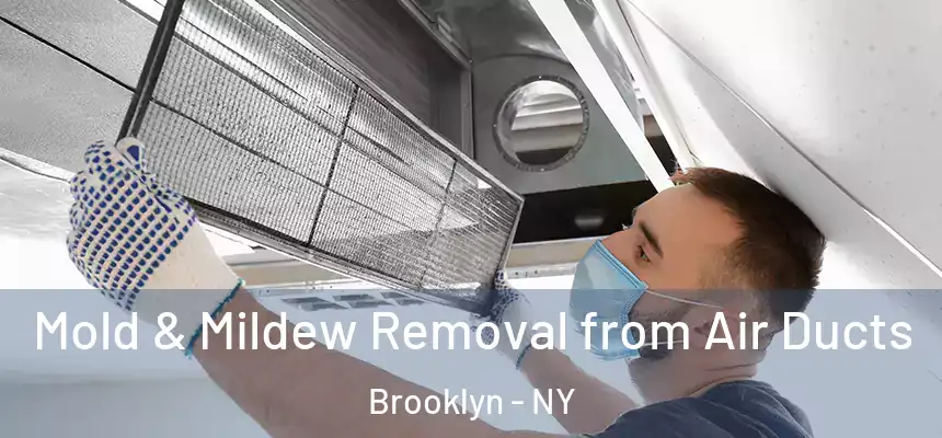  Mold & Mildew Removal from Air Ducts Brooklyn - NY