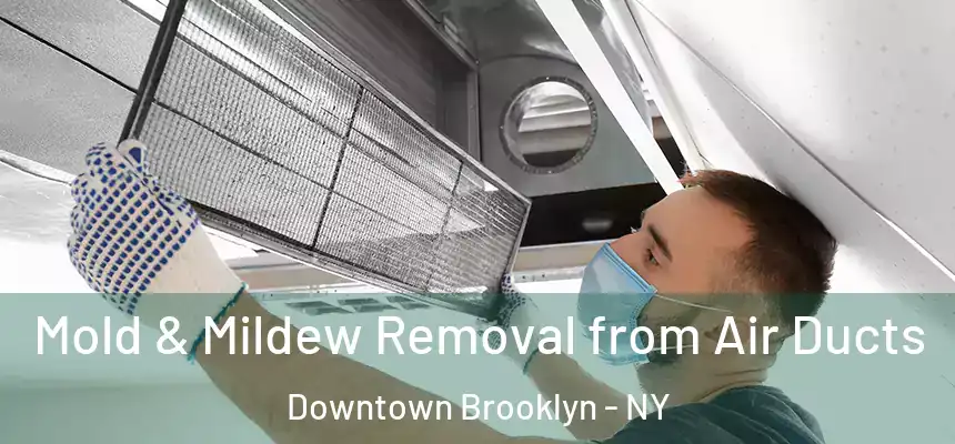 Mold & Mildew Removal from Air Ducts Downtown Brooklyn - NY
