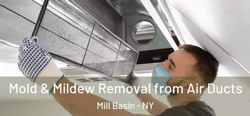  Mold & Mildew Removal from Air Ducts Mill Basin - NY