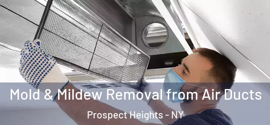 Mold & Mildew Removal from Air Ducts Prospect Heights - NY