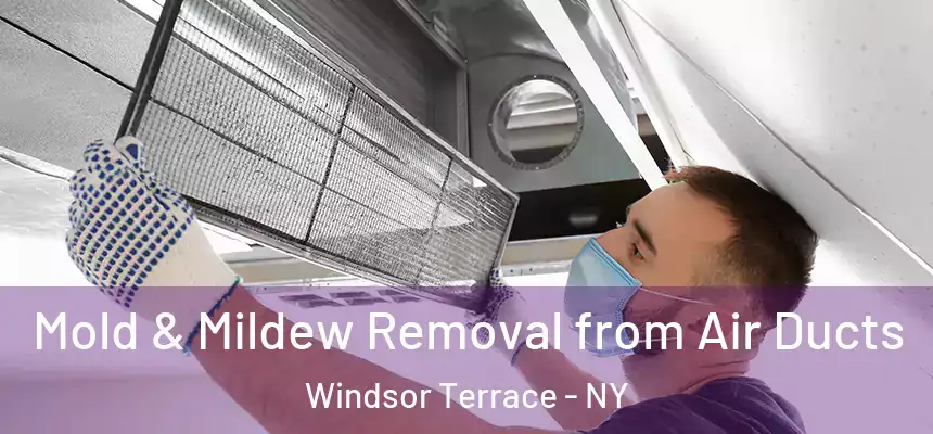 Mold & Mildew Removal from Air Ducts Windsor Terrace - NY