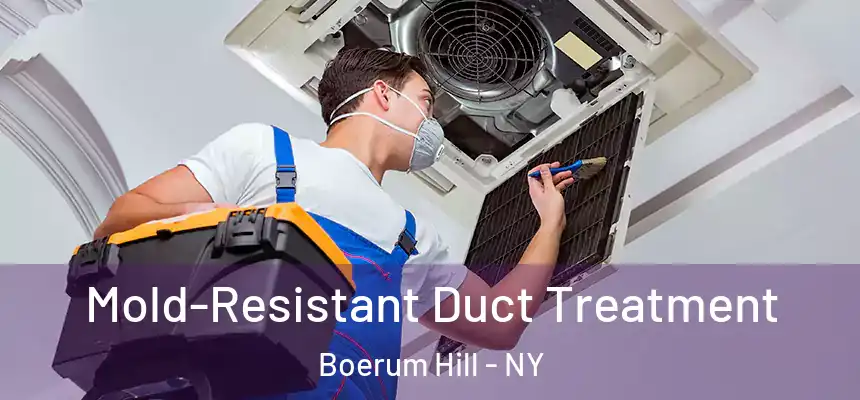  Mold-Resistant Duct Treatment Boerum Hill - NY