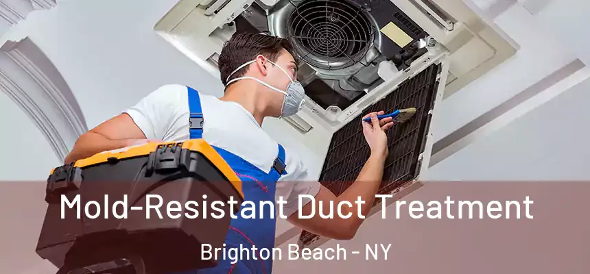  Mold-Resistant Duct Treatment Brighton Beach - NY