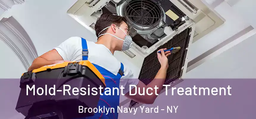 Mold-Resistant Duct Treatment Brooklyn Navy Yard - NY