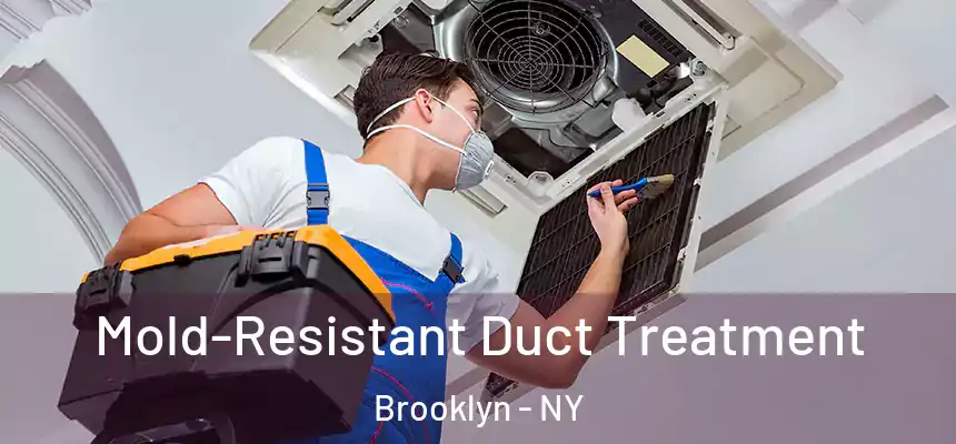  Mold-Resistant Duct Treatment Brooklyn - NY