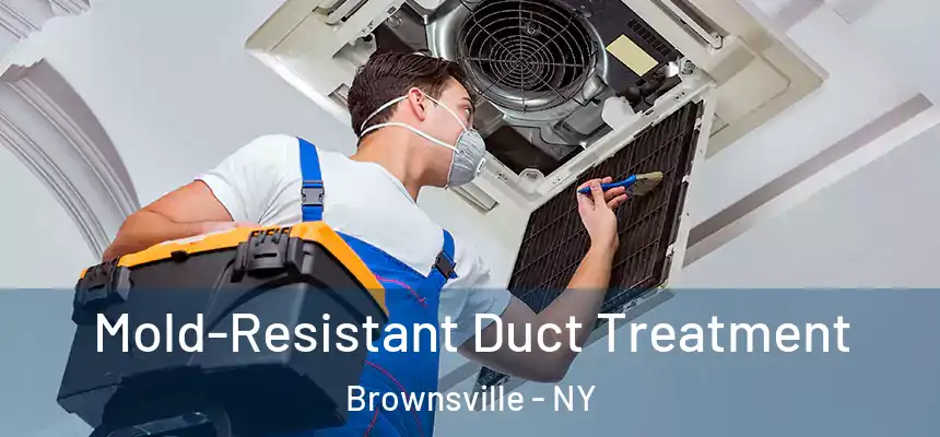  Mold-Resistant Duct Treatment Brownsville - NY
