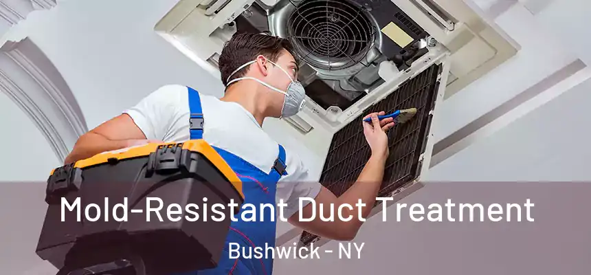  Mold-Resistant Duct Treatment Bushwick - NY