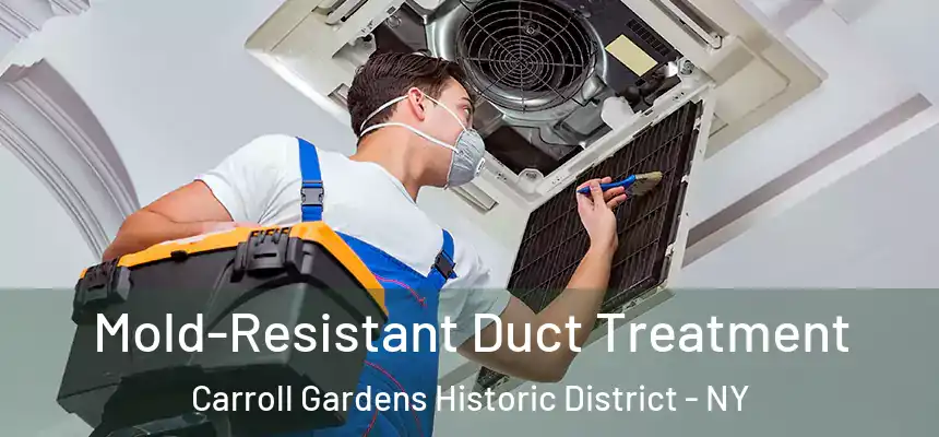 Mold-Resistant Duct Treatment Carroll Gardens Historic District - NY