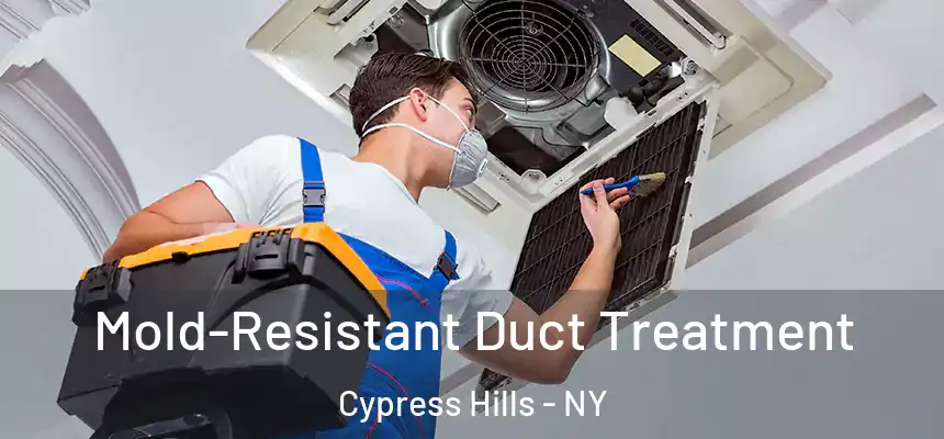  Mold-Resistant Duct Treatment Cypress Hills - NY