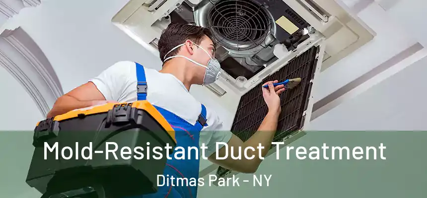 Mold-Resistant Duct Treatment Ditmas Park - NY
