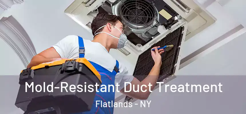 Mold-Resistant Duct Treatment Flatlands - NY