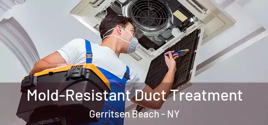  Mold-Resistant Duct Treatment Gerritsen Beach - NY